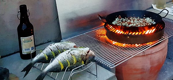 Outdoorküche bauen Fisch grillen Sommerküche